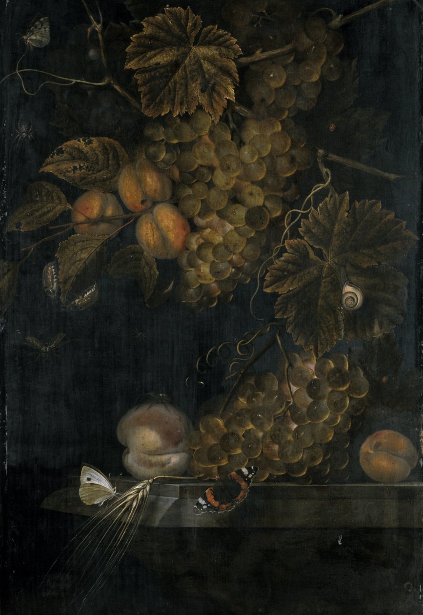 Csendélet őszibarackkal és szőlővel, 1665 alkotó: Ottmar the Elder Elliger