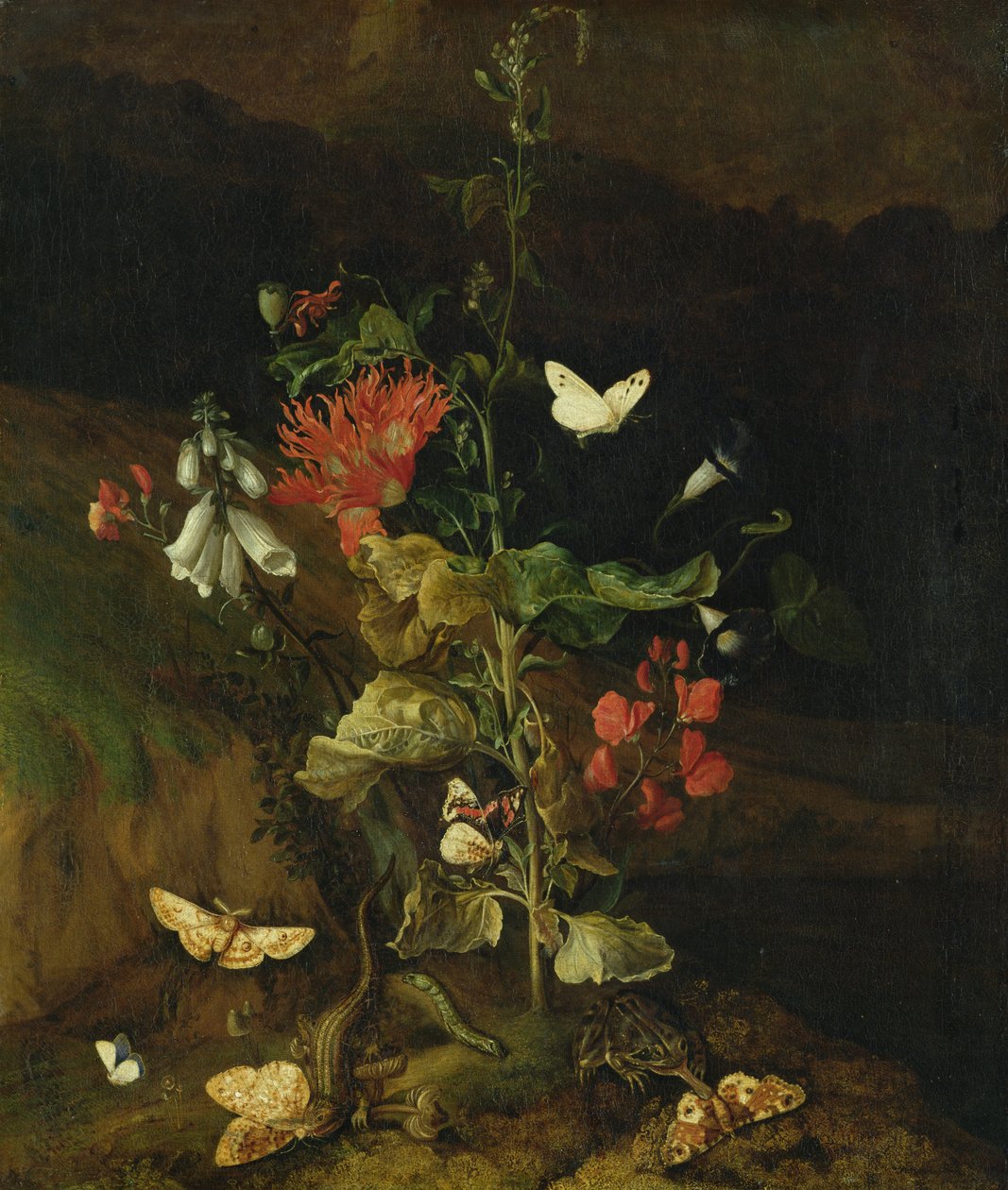 Virágtanulmány alkotó: Otto Marseus  van Schrieck