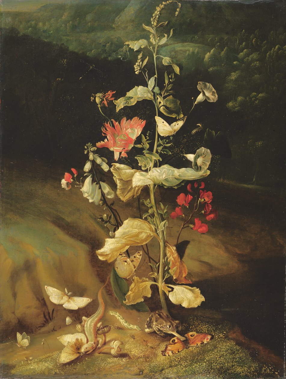 Csendélet virágokkal alkotó: Otto Marseus  van Schrieck