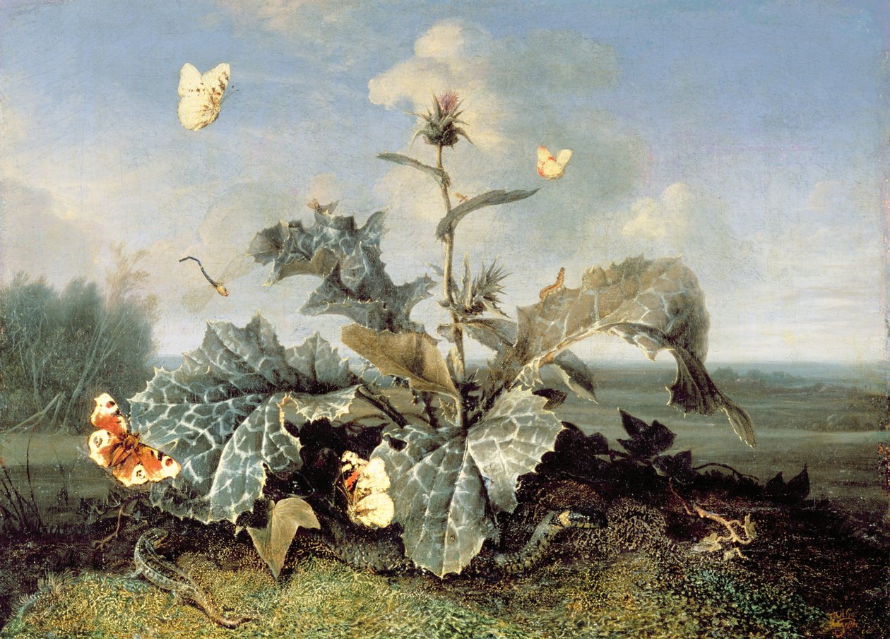 A Bojtorján bokor alkotó: Otto Marseus  van Schrieck