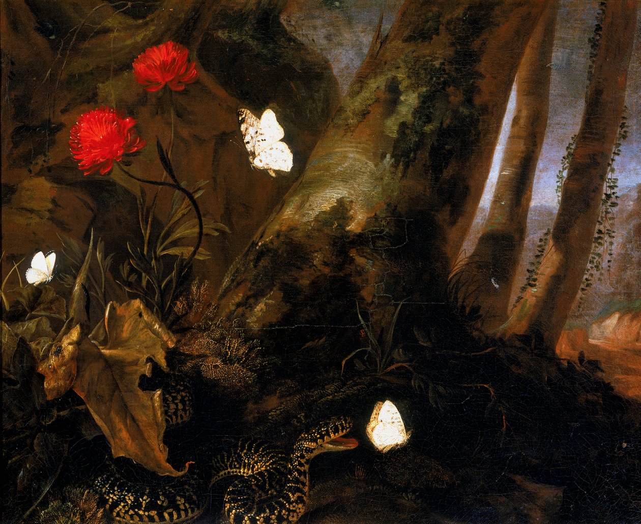Aljnövényzet állatokkal alkotó: Otto Marseus  van Schrieck