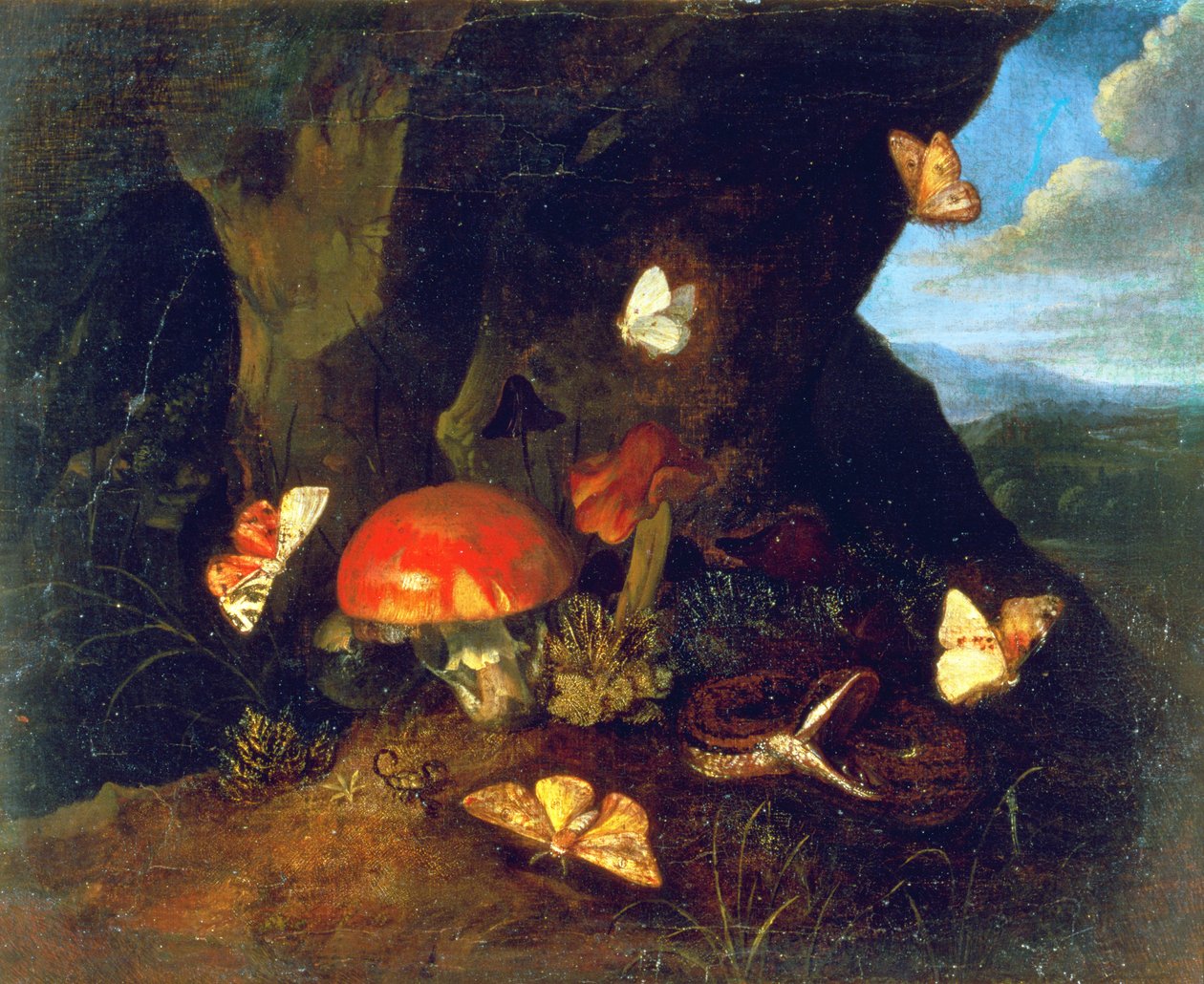Aljnövényzet és vadvilág alkotó: Otto Marseus  van Schrieck