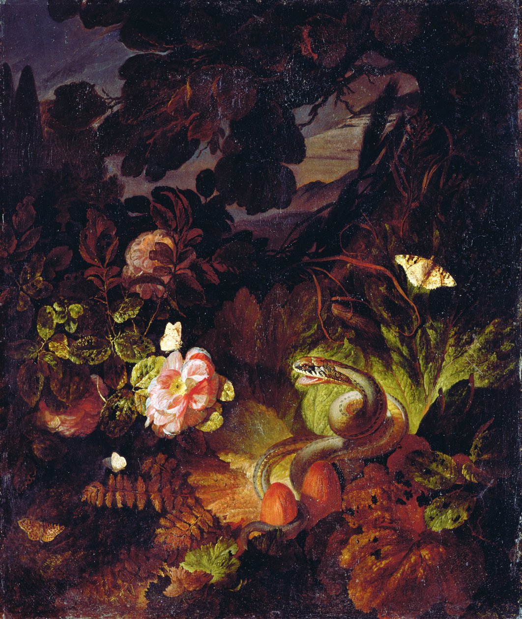 Virágok, Kígyó és Pillangók alkotó: Otto Marseus  van Schrieck