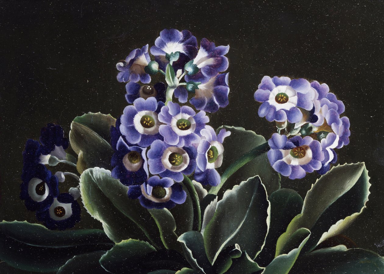  alkotó: Otto Didrik Ottesen