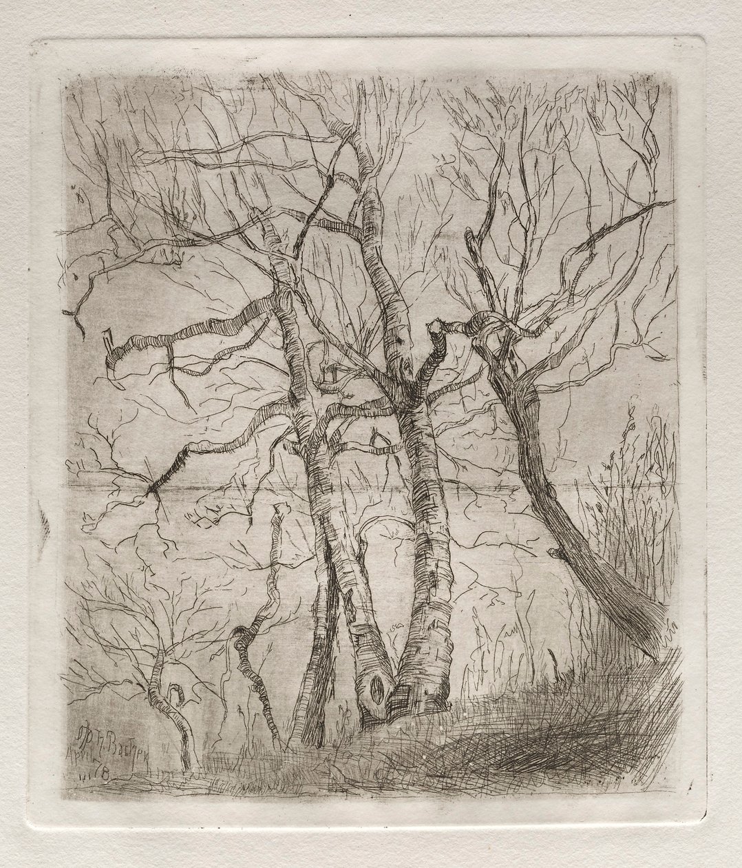 Fák, 1878. alkotó: Otto H. Bacher
