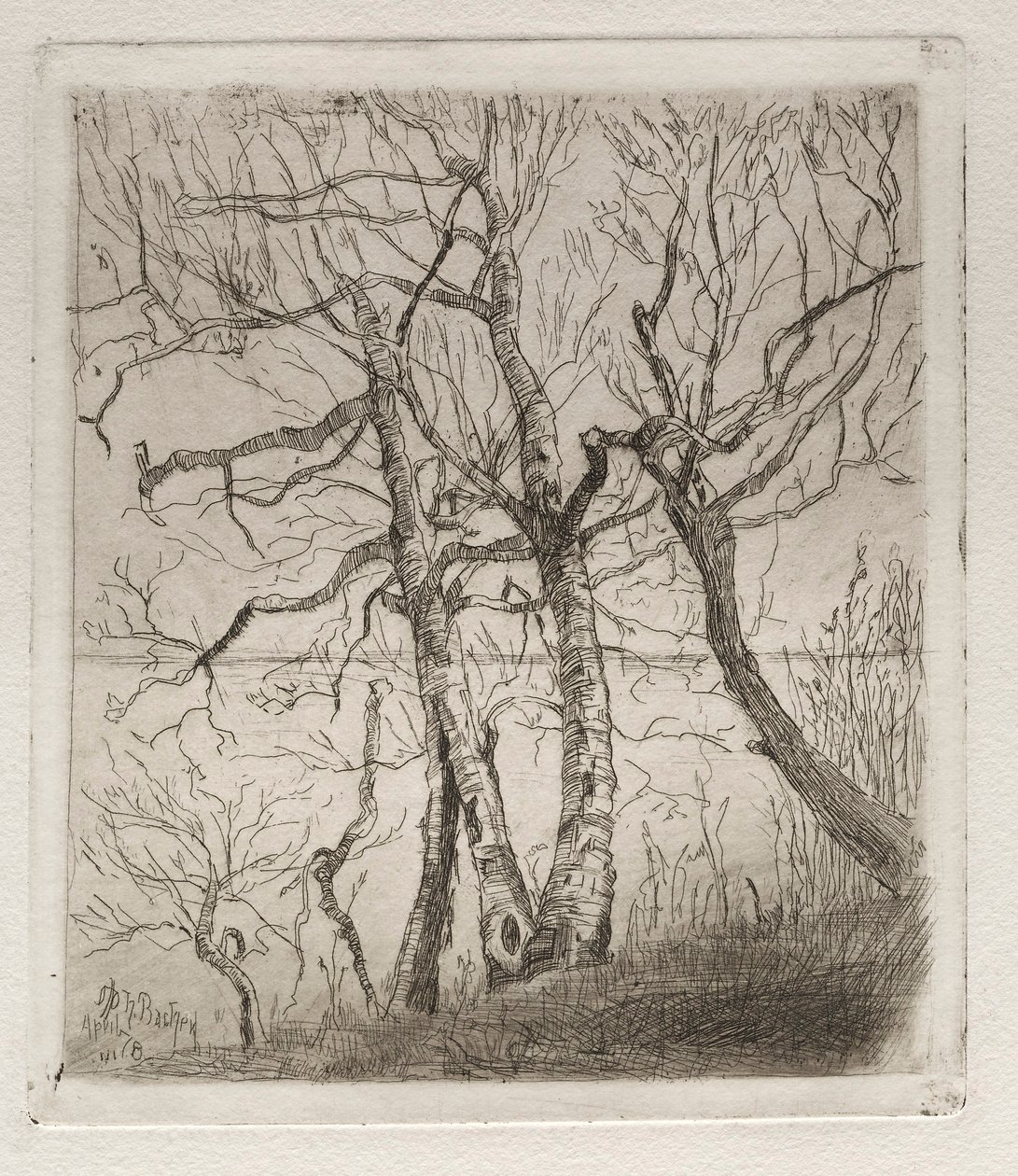 Erdő a tó mellett, 1878. alkotó: Otto H. Bacher