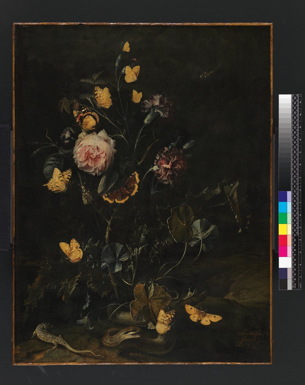 Virágok, rovarok és hüllők, 1673 alkotó: Otto Marseus  van Schrieck