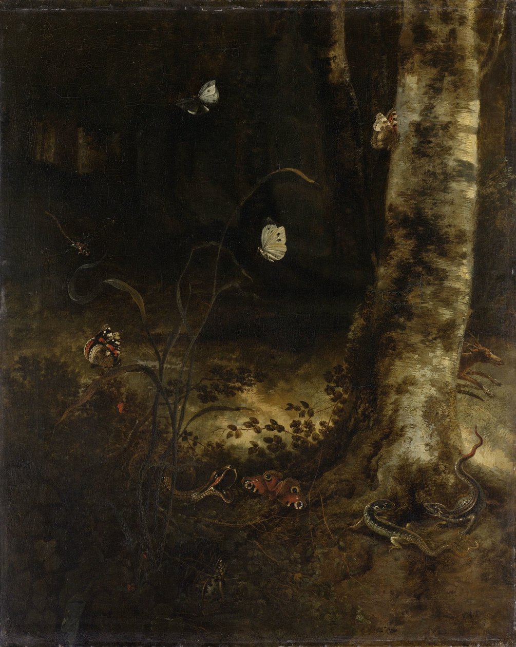 Erdőtalaj kígyóval, gyíkokkal, pillangókkal és más rovarokkal alkotó: Otto Marseus  van Schrieck