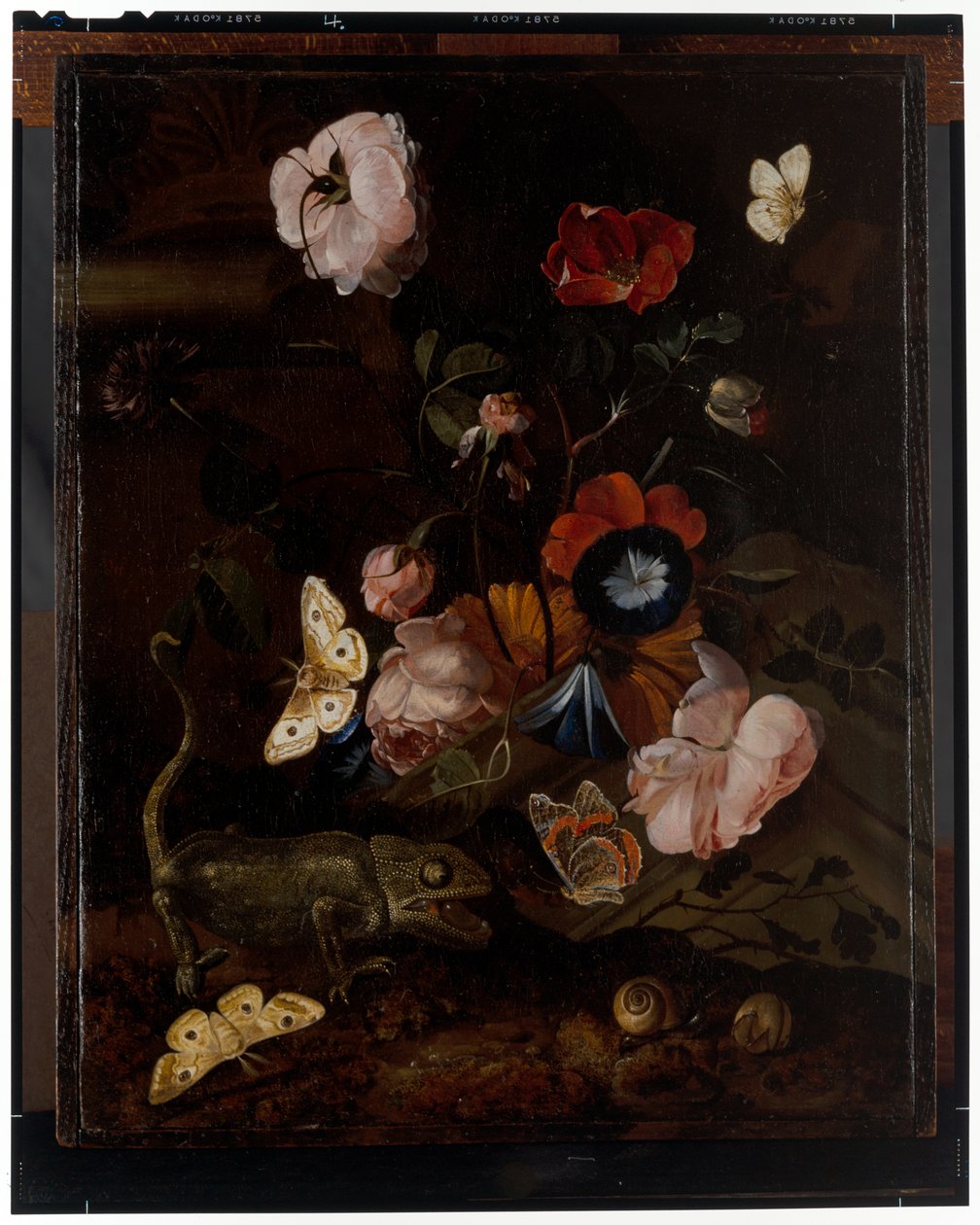 Erdei csendélet alkotó: Otto Marseus  van Schrieck