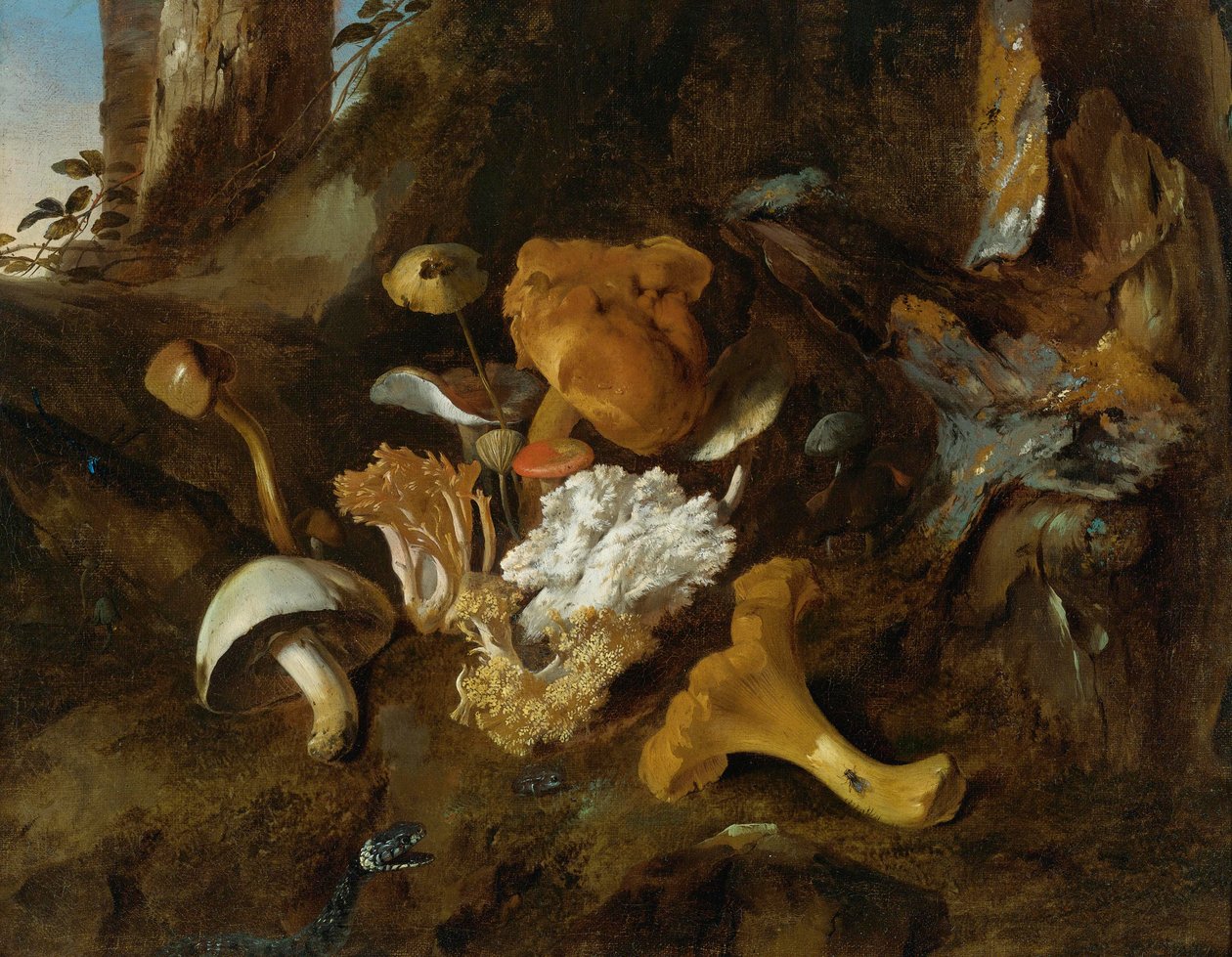 Erdőtalaj csendélet gombával, pillangóval és kígyóval alkotó: Otto Marseus  van Schrieck