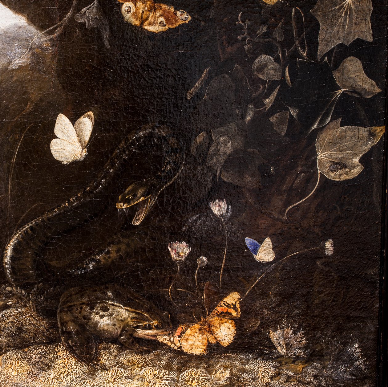 Kígyók, varangyok és pillangók alkotó: Otto Marseus van Schrieck