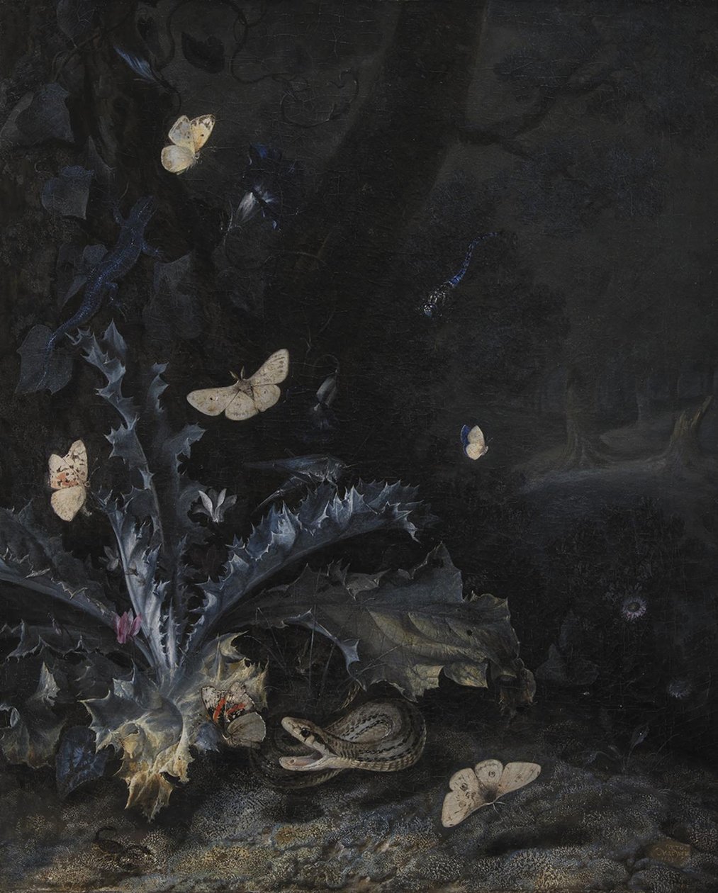 Csendélet bogáncssal és kígyóval alkotó: Otto Marseus  van Schrieck