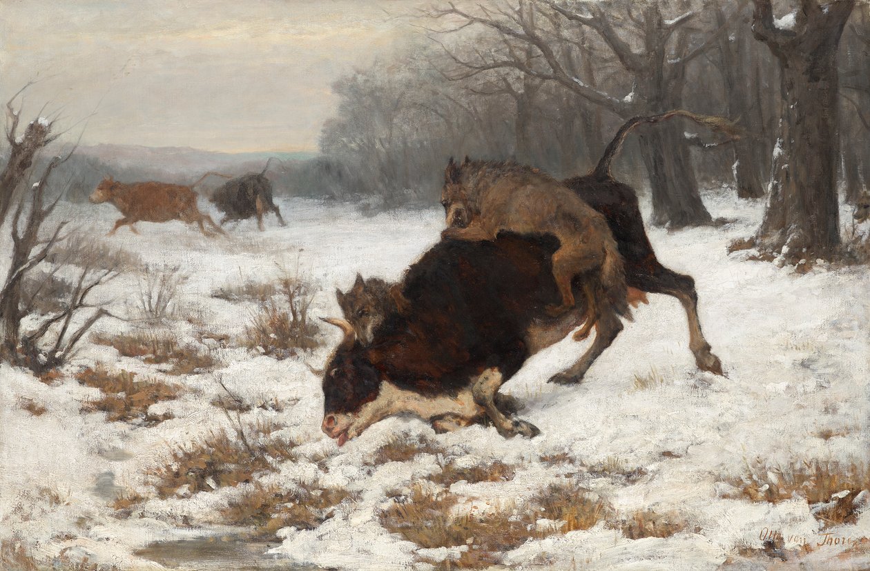 Egy tehenet megtámadnak a farkasok alkotó: Otto von Thoren