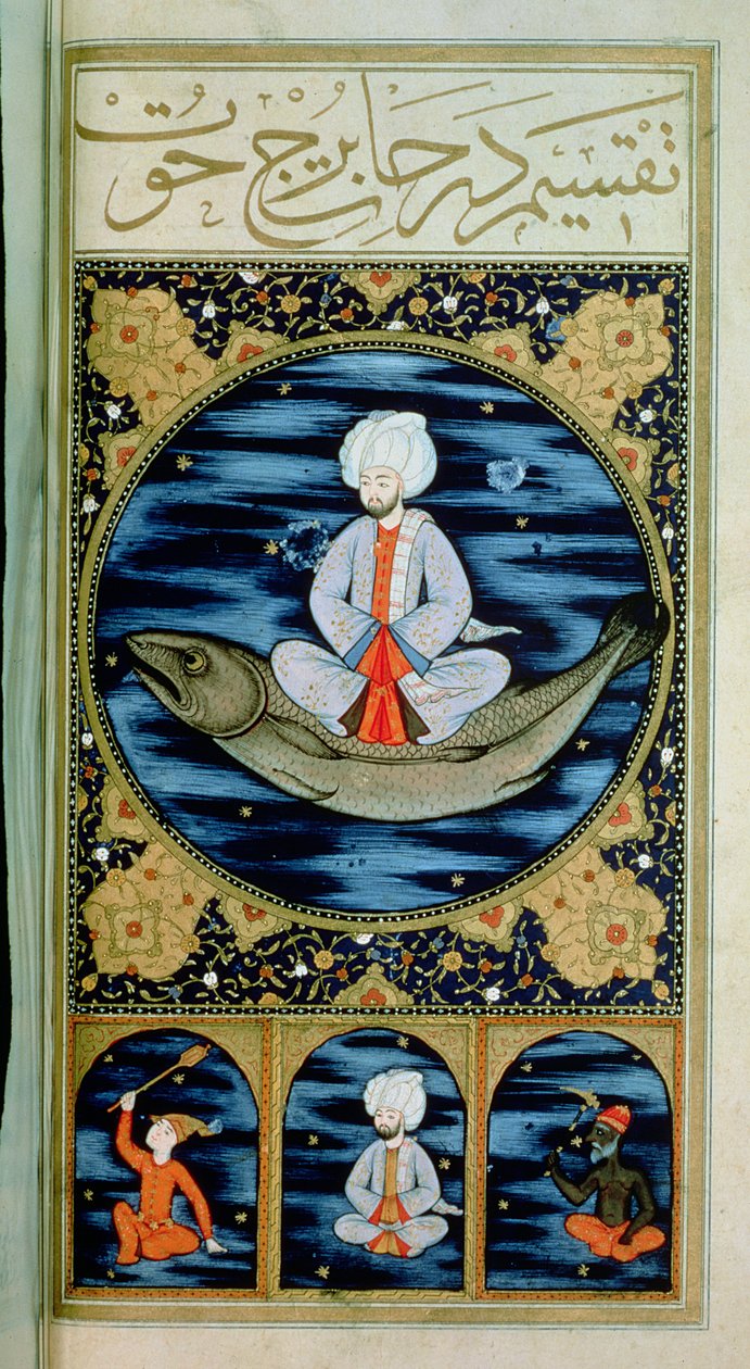 SUF.TURE 242 f.30v Halak alkotó: Ottoman School