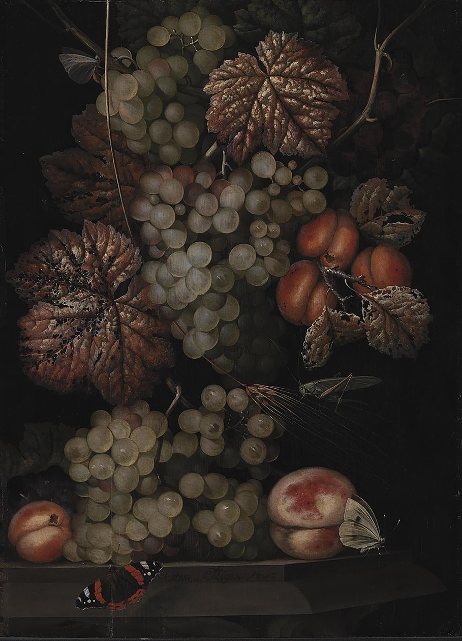 Csendélet alkotó: Ottomar Elliger d.Æ.