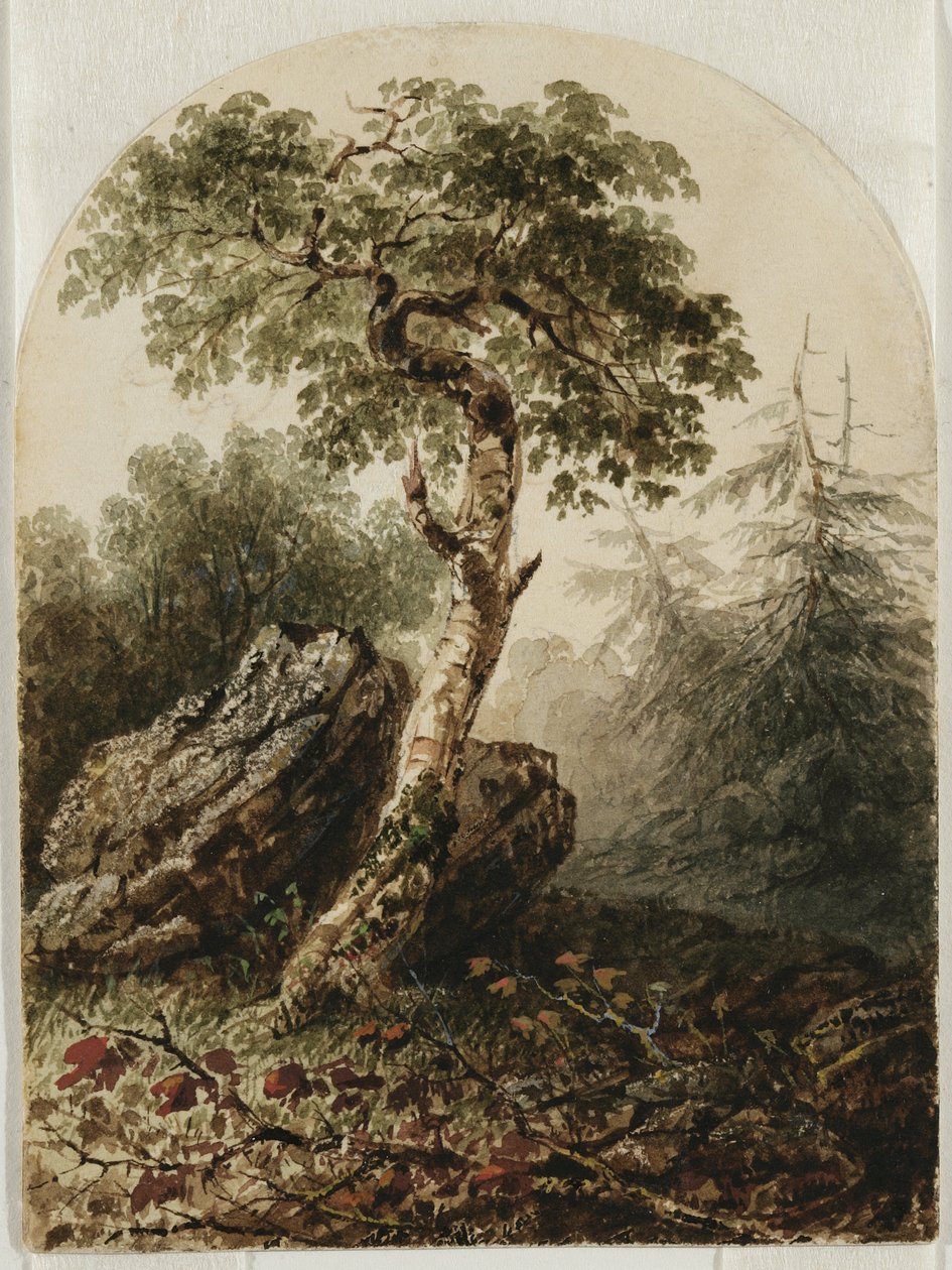Táj nyírfával, 1859 (Wc ceruzanyomokkal és esetleg gouache-nyomokkal, krémszínű szőtt papíron) alkotó: Owen G. Hanks