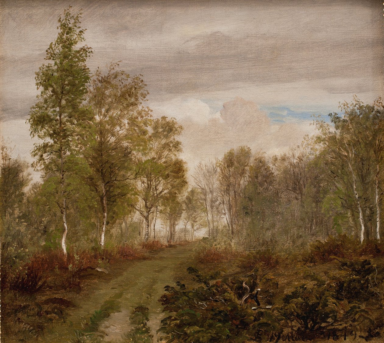 Nyírfák a Læsø-n eső után alkotó: P.C. Skovgaard