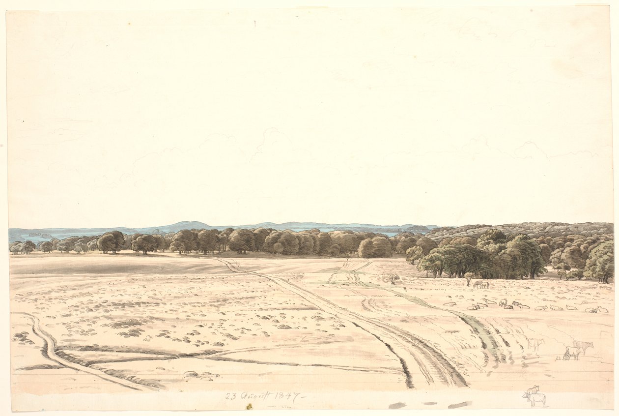 Az Ermitázs-síkságról. alkotó: P.C. Skovgaard