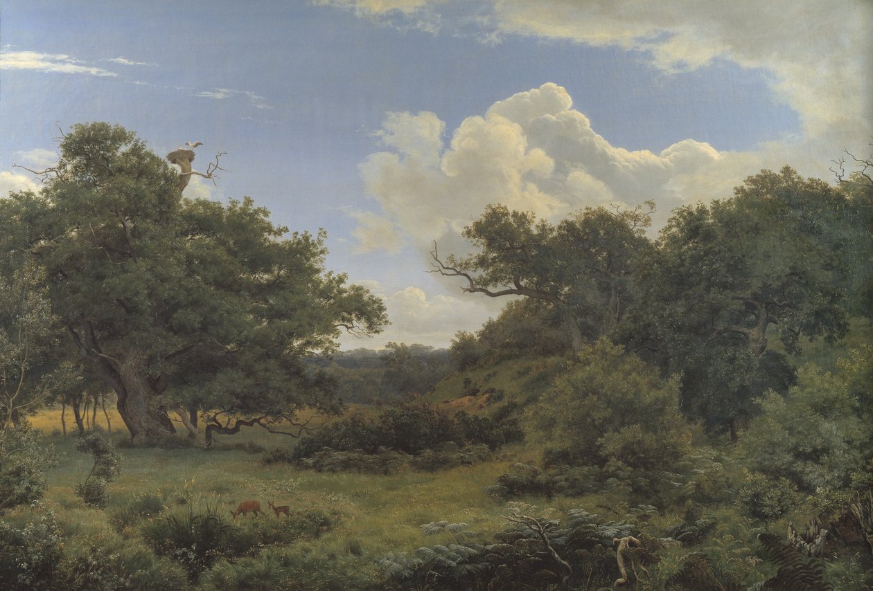 Tölgyfák Nordskovenben Jægerspris közelében, Zélandon alkotó: P.C. Skovgaard