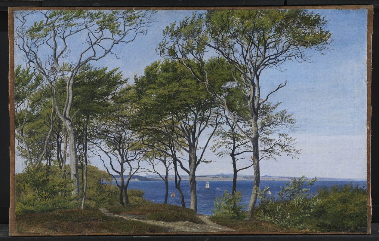 Nézet a bükkön keresztül a fiordon keresztül alkotó: P.C. Skovgaard