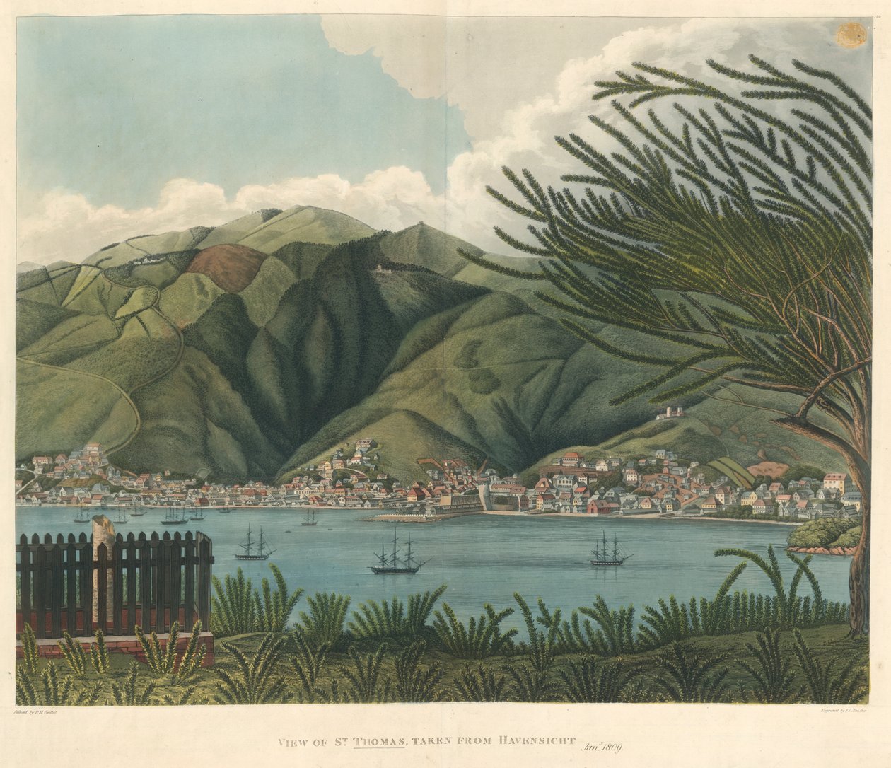 Szent Tamás képe, Havensichtből, január 18., Joseph Constantine Stadler litográfiája (fl.1780-1812) alkotó: P. M. (after) Vieillot