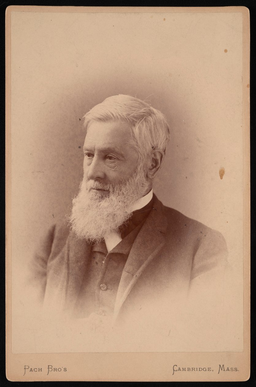 Asa Gray portréja 1810-1888, 1887. március. alkotó: Pach Bros