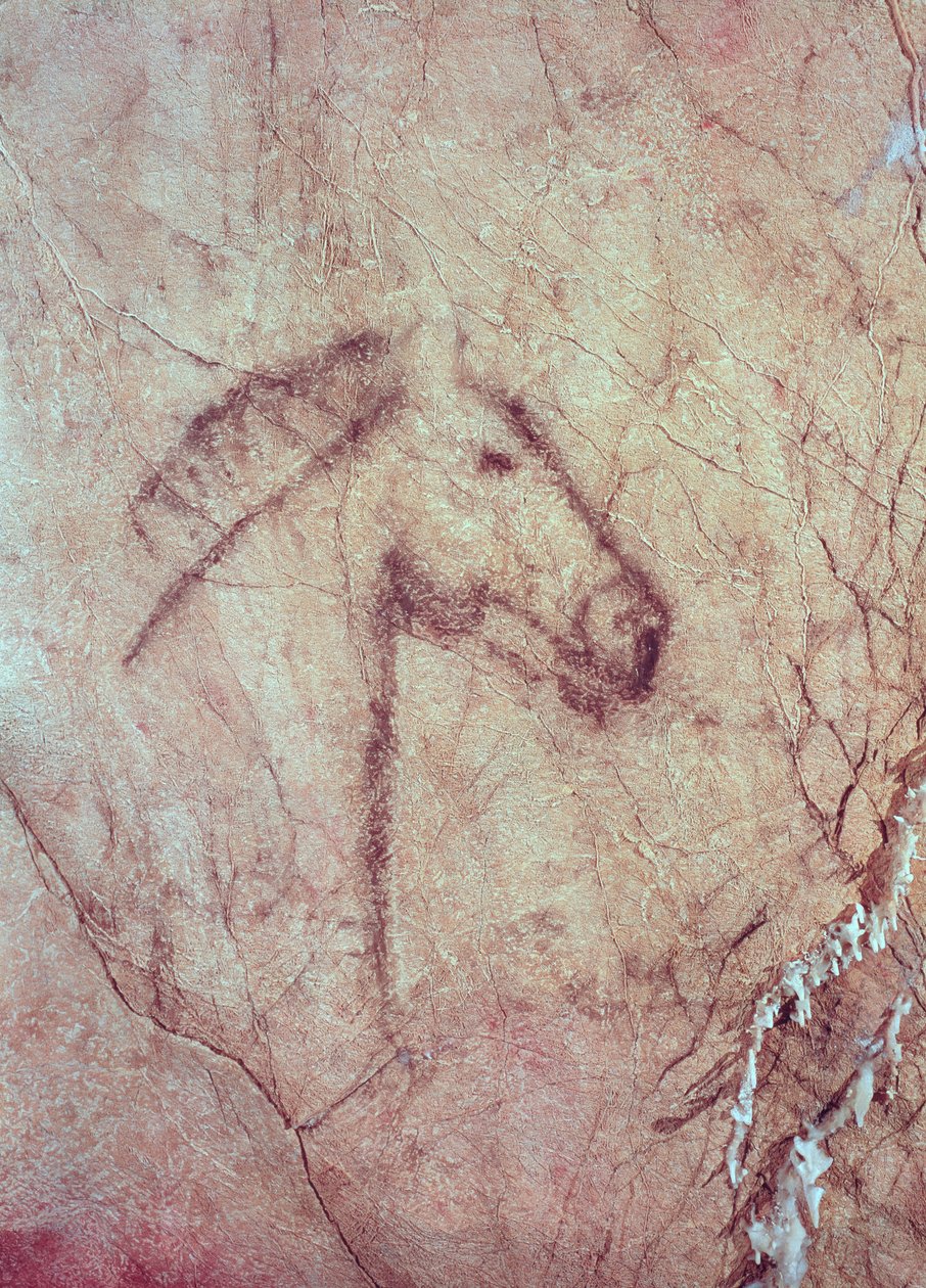 Egy ló feje, a Cueva de la Pena de Candamo San Roman-ból (barlangfestmény) alkotó: Paleolithic