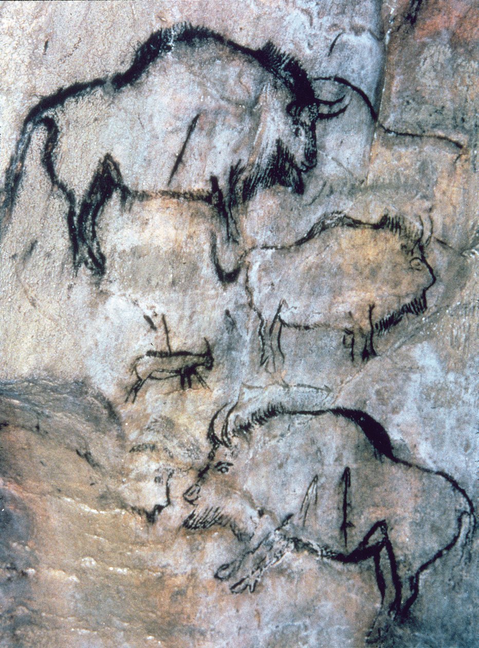 Sérült bölény, Magdalén (barlangfestés) alkotó: Paleolithic Paleolithic