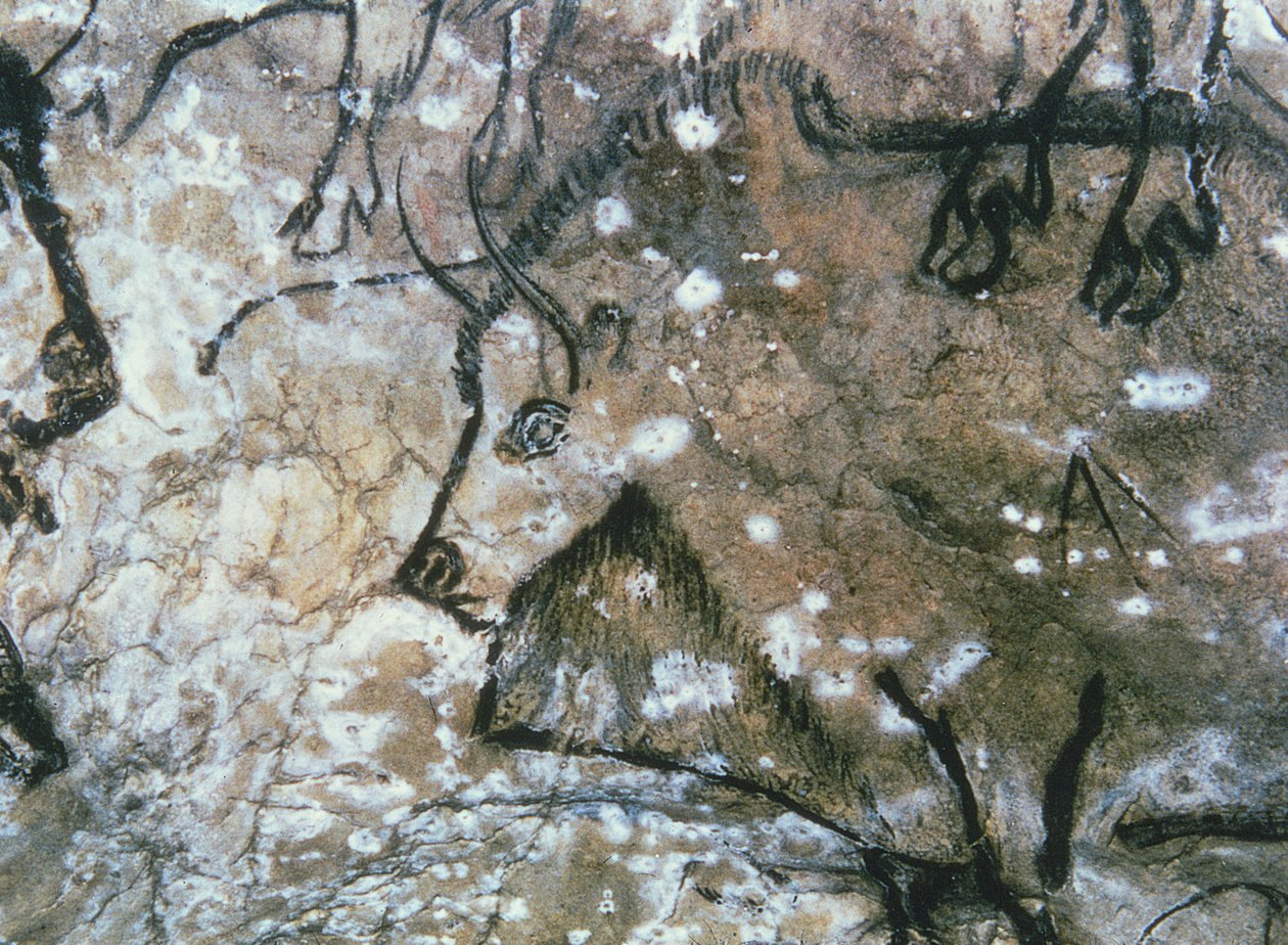 Sérült bika, sziklafestés, Magdalén (barlangfestés) alkotó: Paleolithic Paleolithic