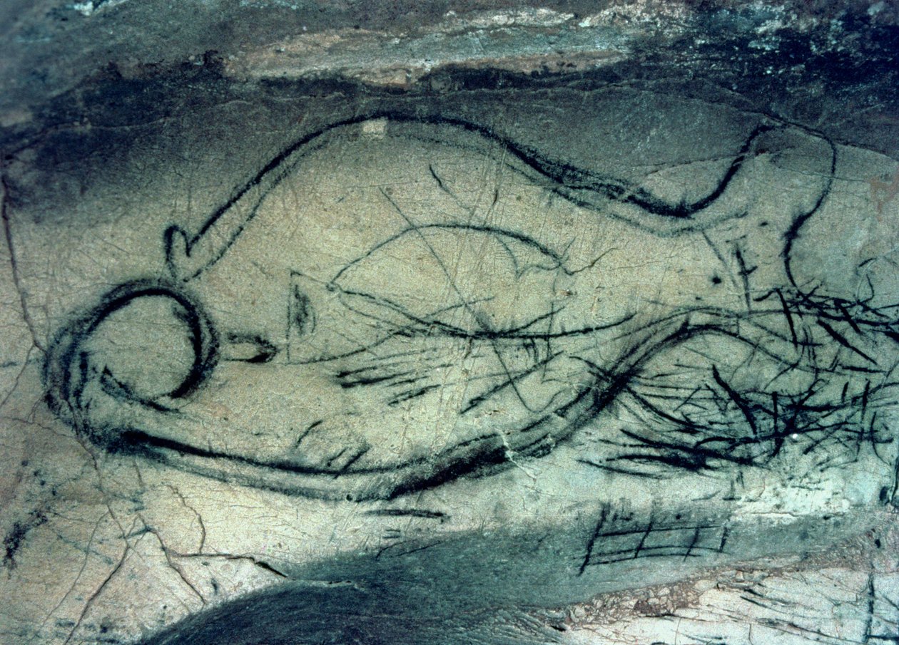 Tengeri alak, paleolitikum (i.e. 40000-12000 körül) (fotó) alkotó: Paleolithic Paleolithic