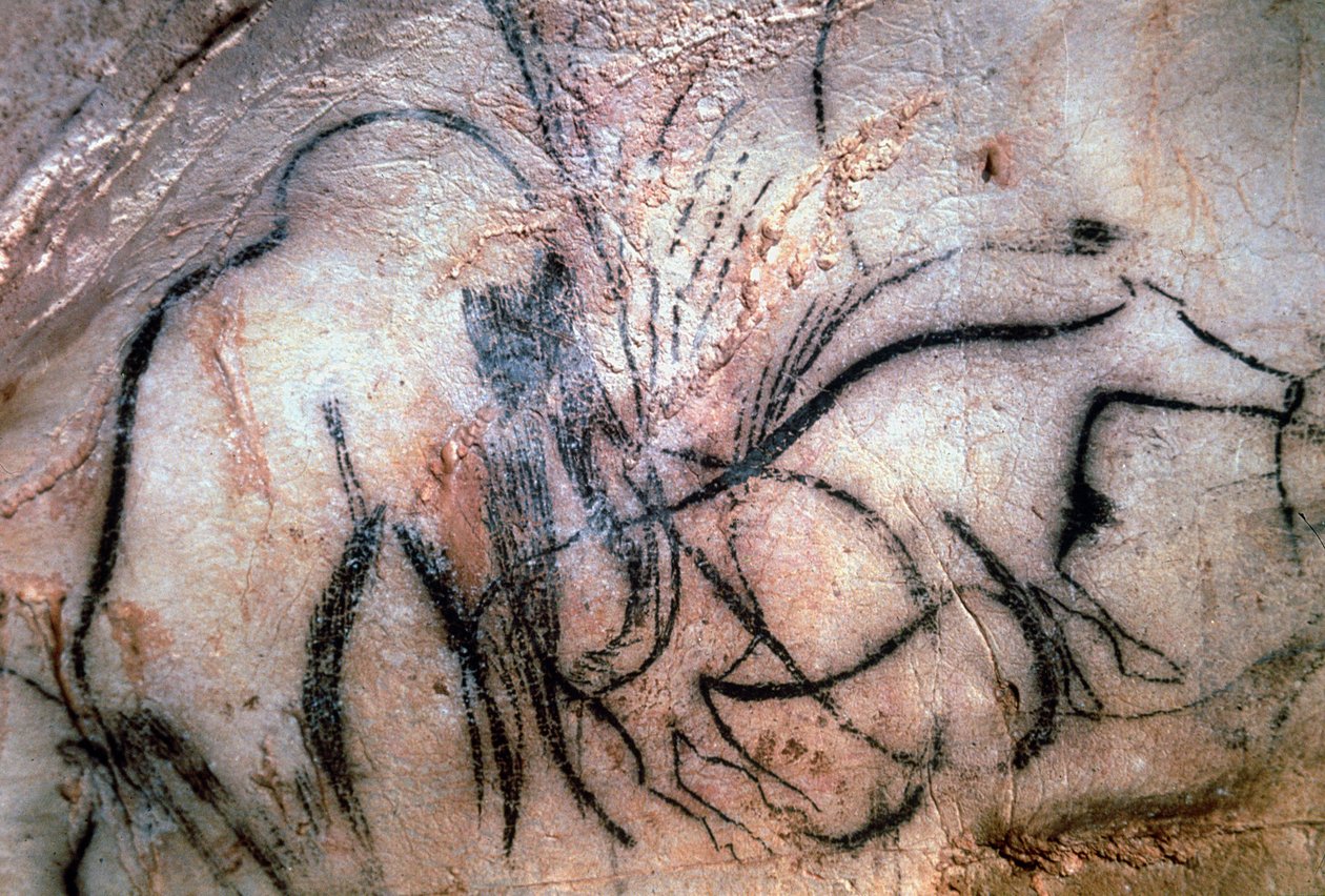 Mamutot és szarvasmarhát ábrázoló festmények a Mamut-kápolnából (barlangfestmény) alkotó: Paleolithic Paleolithic