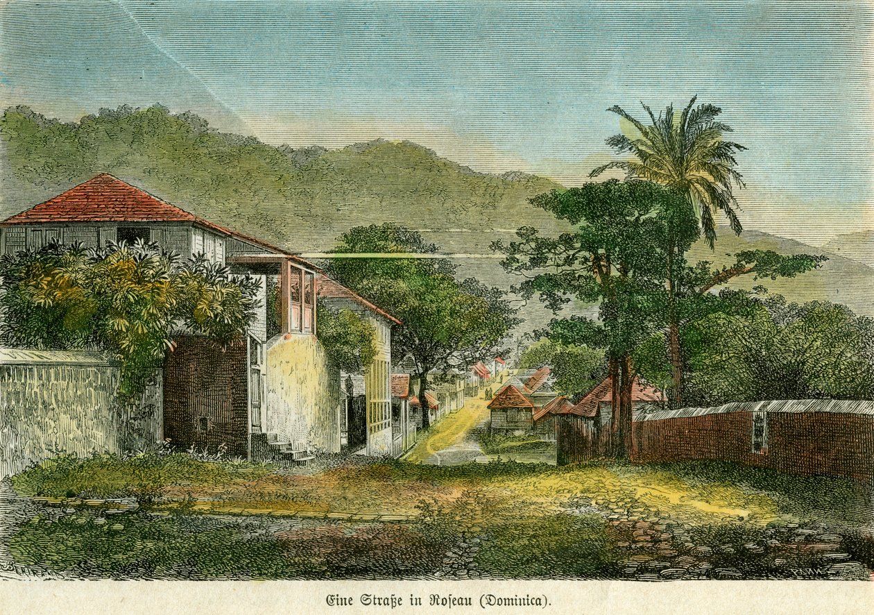 Egy utca Roseauban, Dominikában, 1880. alkotó: Pann