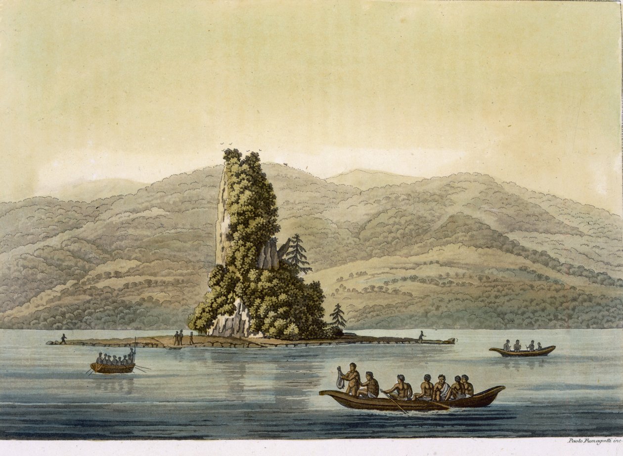 New Norfolk Vancouver közelében (színes gravírozás) alkotó: Paolo Fumagalli