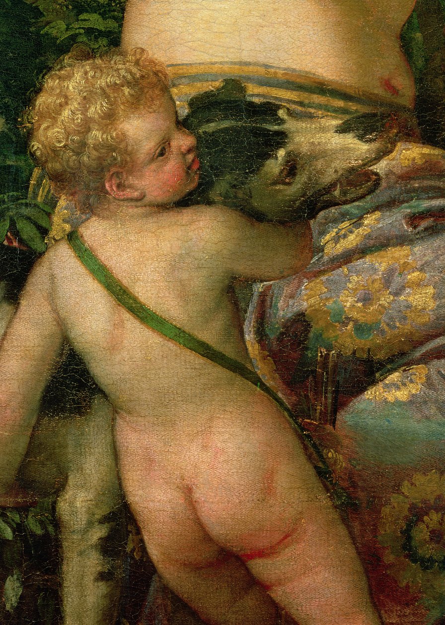 Ámor, Vénusz és Adonisz részlete, 1580 (38598. részlet) alkotó: Paolo Veronese