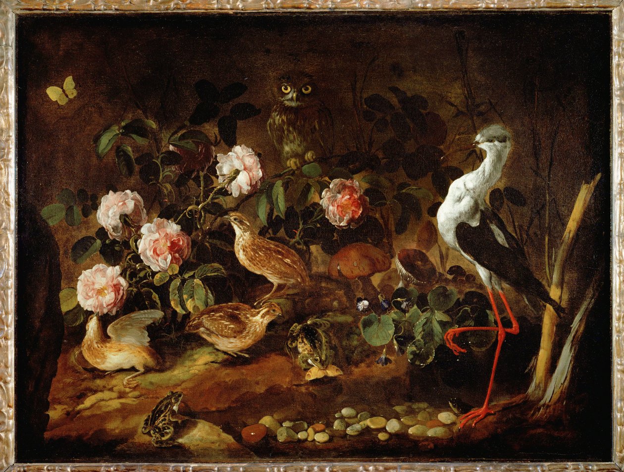 Csendélet bagollyal és ibissel - Nature morte avec une chouette et un ibis ... alkotó: Paolo Porpora