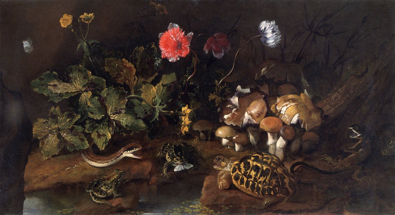 "Csendélet kígyóval, békával, teknősbékával és gyíkkal", 1656-1673 alkotó: Paolo Porpora