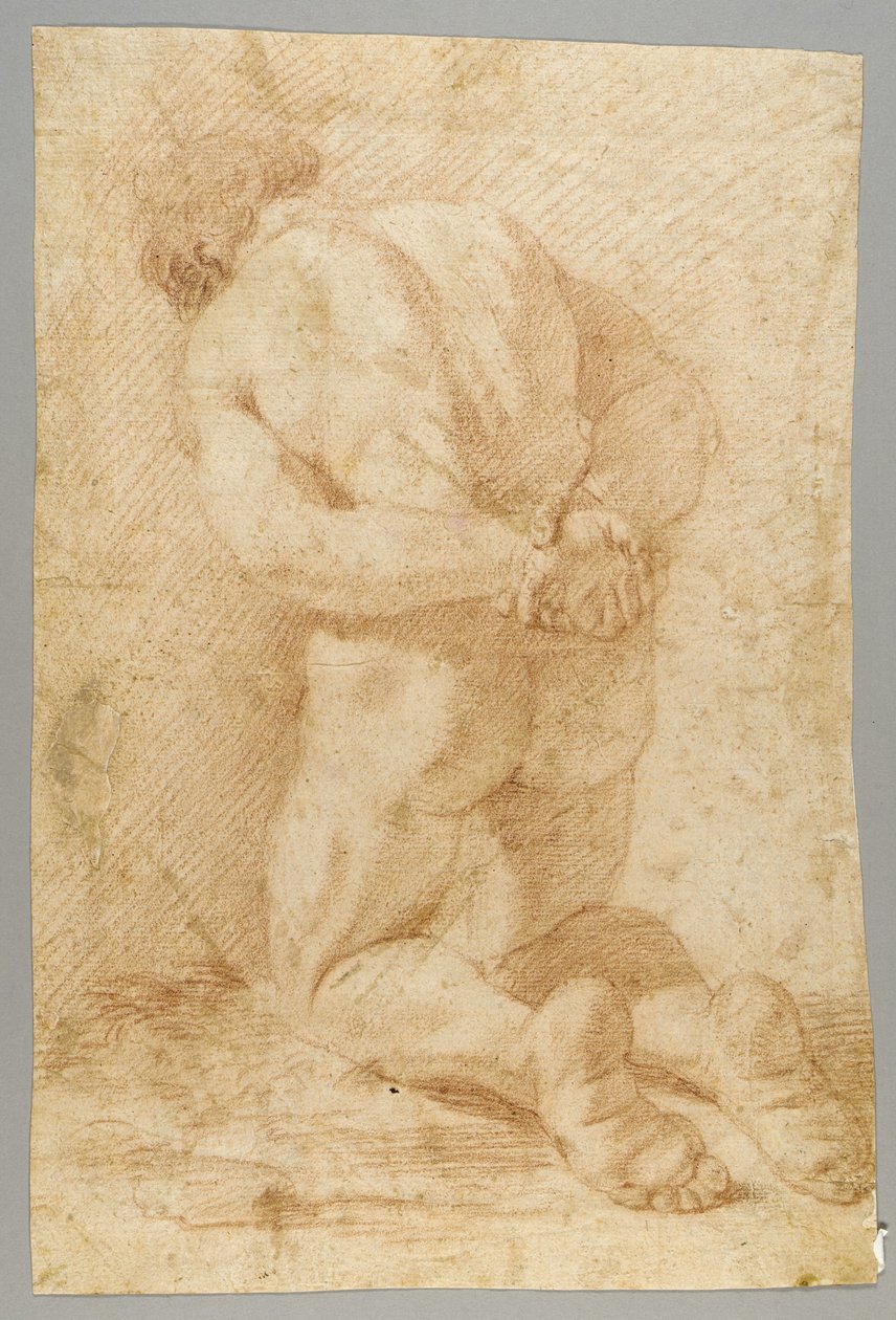 Rajzolás alkotó: Paolo de Matteis