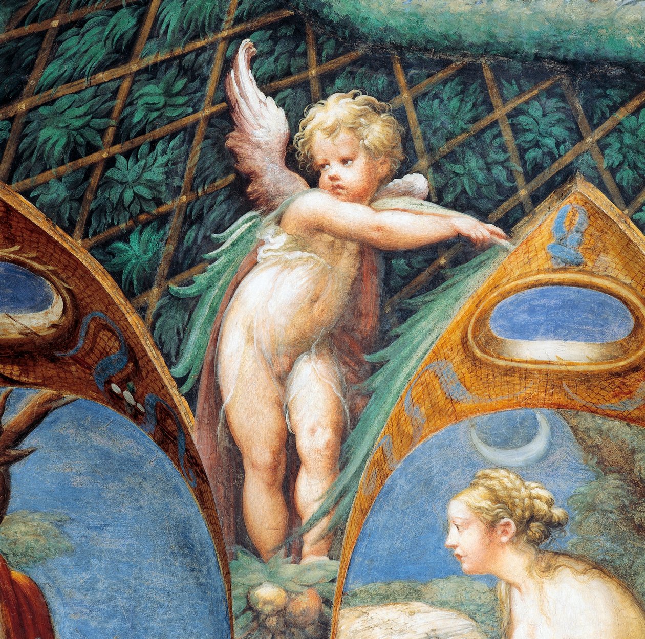 Cherub és Diana arca, a Diana és Actaeon mítoszából, kb alkotó: Parmigianino