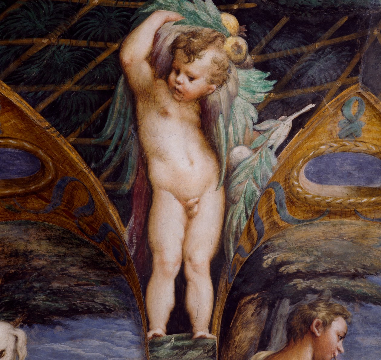Kerub, részlet Diana és Actaeon mítoszából, kb alkotó: Parmigianino