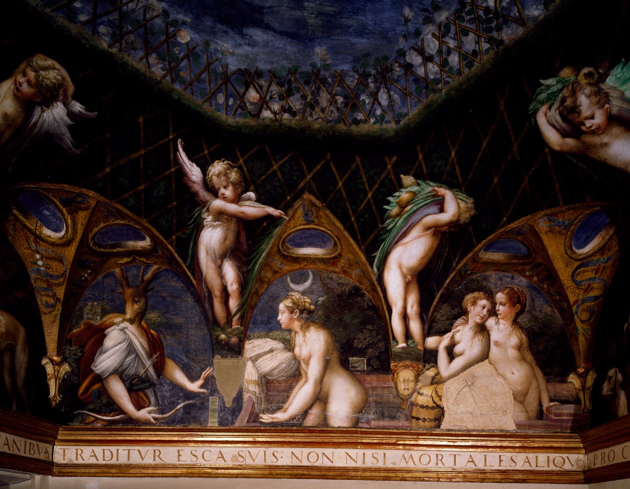 Diana, aki az Actaeont szarvasbikává változtatja, jelenet a Diana mítoszából és az Actaeonból alkotó: Parmigianino