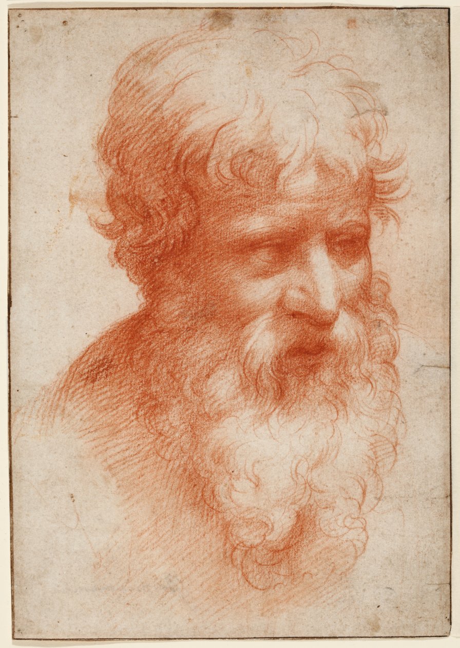 Egy szakállas férfi feje, jobbra néz, 1523-25 körül (piros kréta papíron) alkotó: Parmigianino (1503 40)