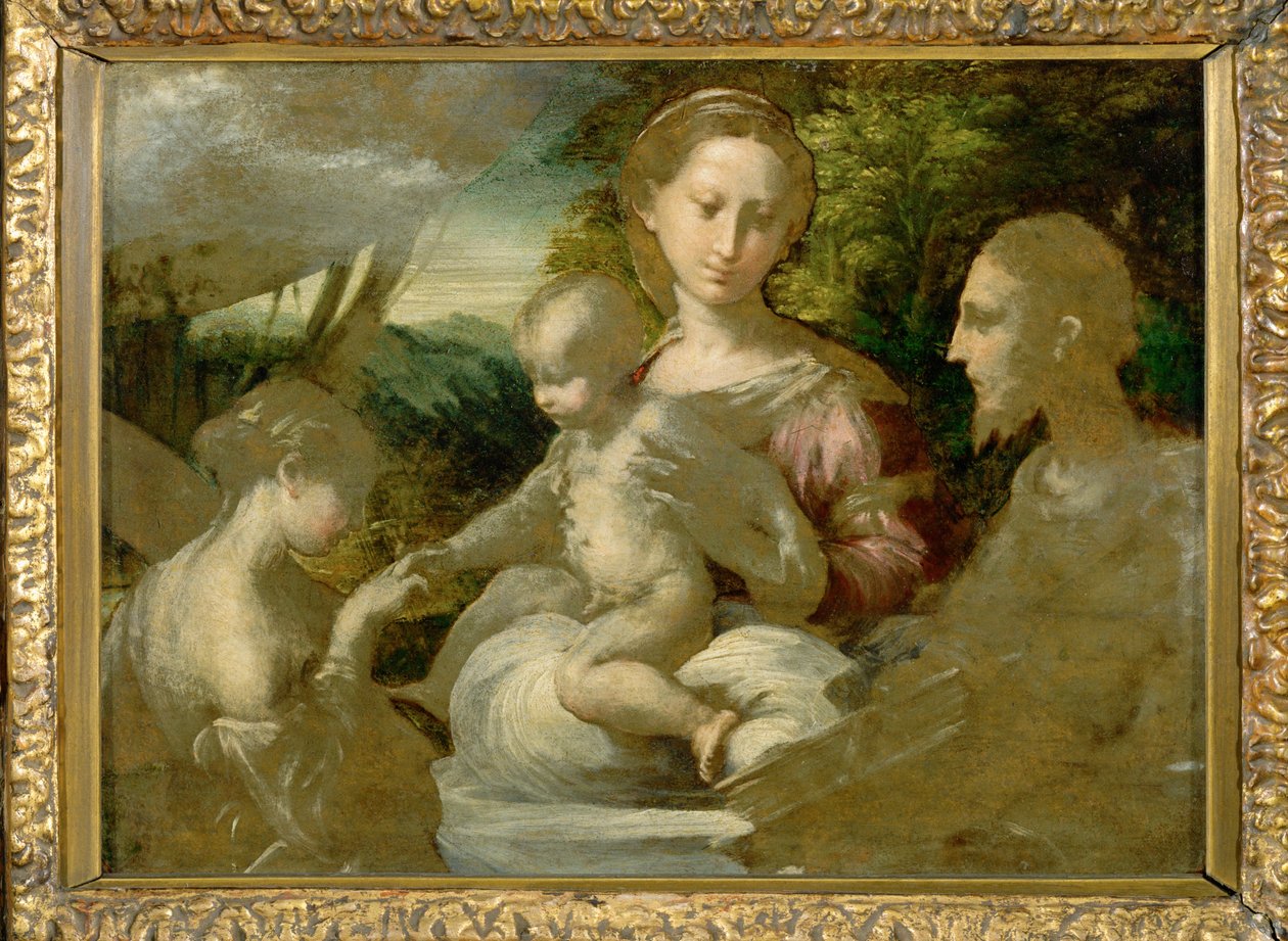 Madonna és a szentek ... alkotó: Parmigianino (1503 40)