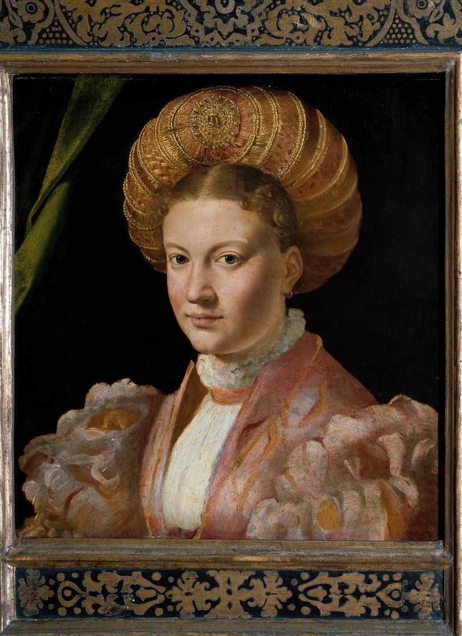 Egy fiatal nő, Gozzadini grófnő portréja. (Festés alkotó: Parmigianino