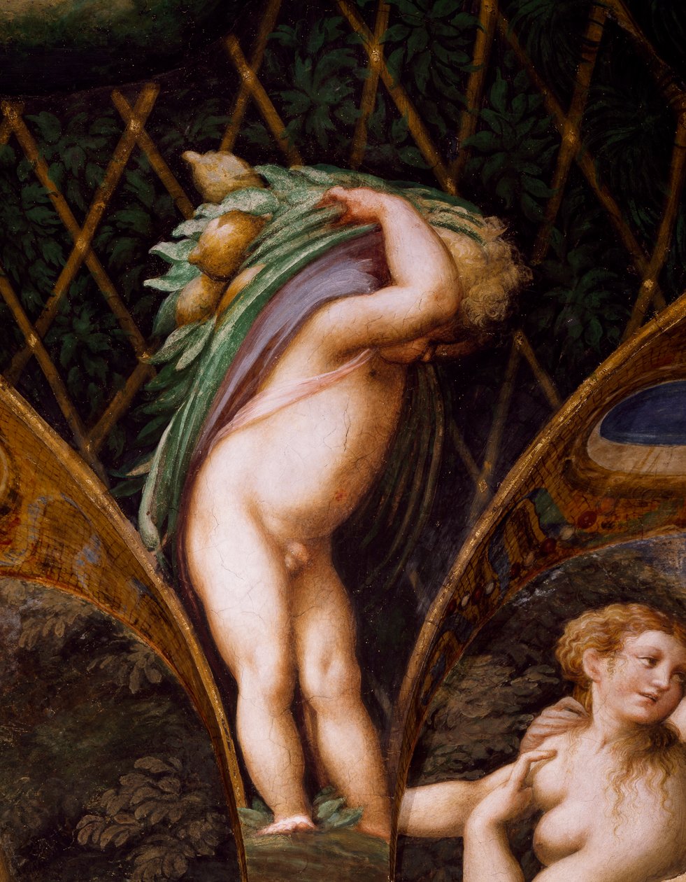 Putto, a Diana és Actaeon mítoszából alkotó: Parmigianino