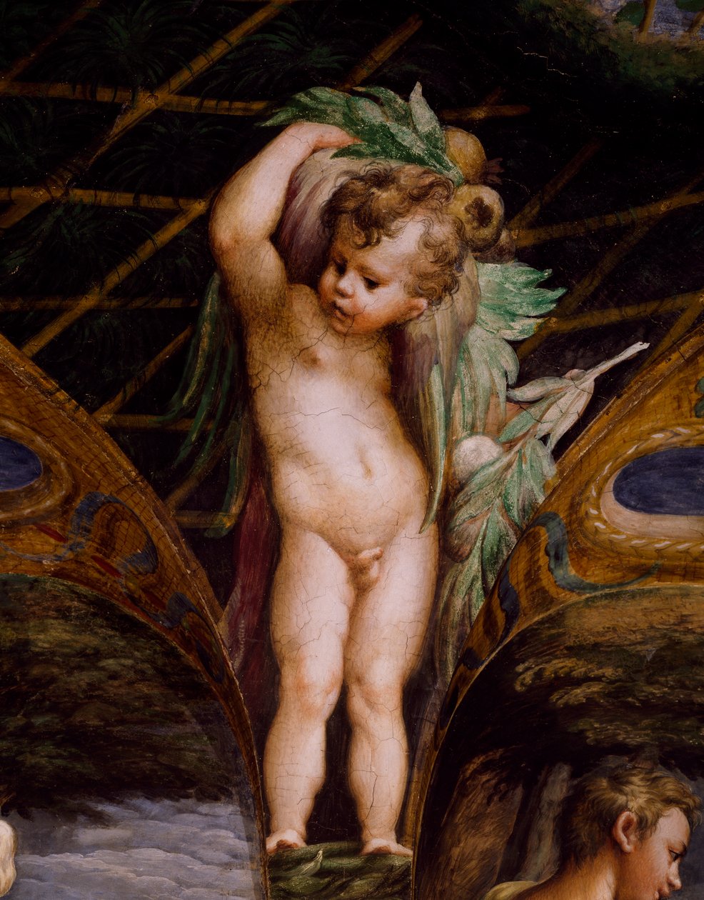 Putto, a Diana mítoszából és az Actaeonból alkotó: Parmigianino