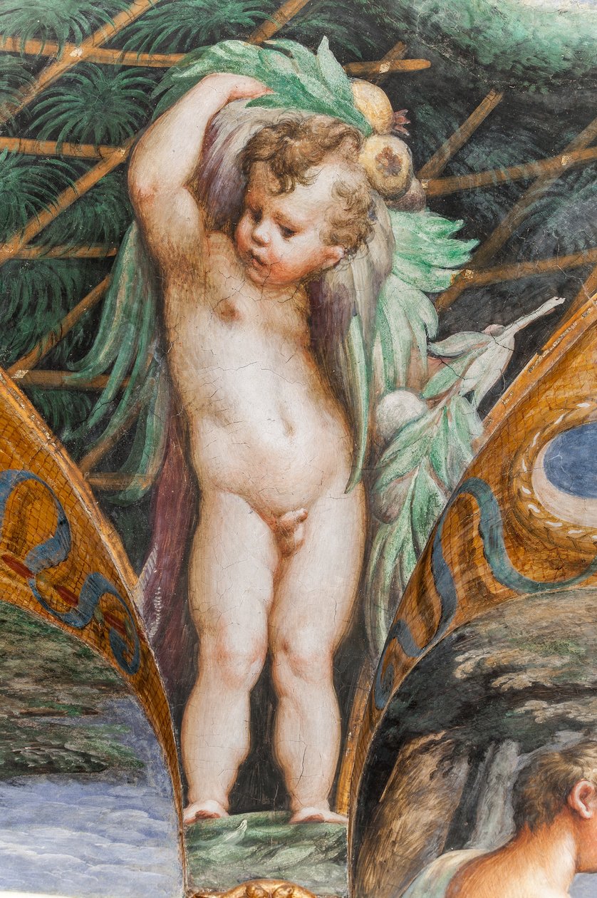 Putto, Diana és Actaeon szobájából, 2384753 részlet alkotó: Parmigianino