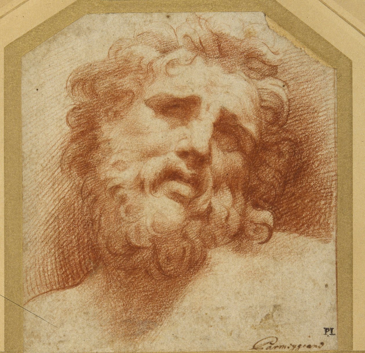 Szakállas fej, felfelé nézve (esetleg Laocoon) (piros kréta fehér papíron) alkotó: Parmigianino