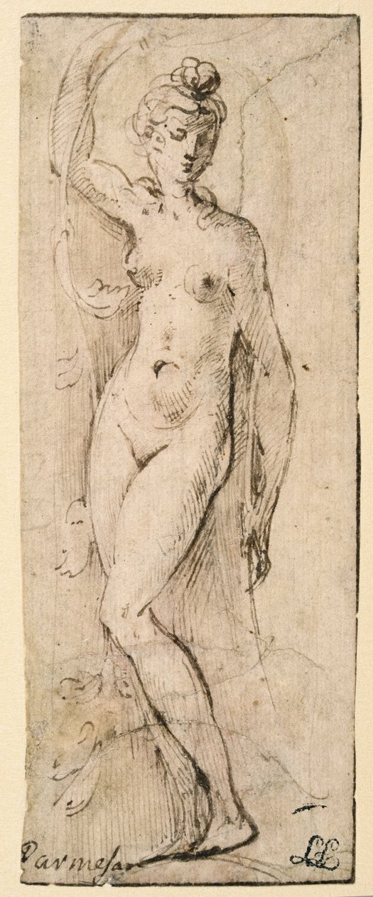 Női alak – Santa Maria della Steccata-tanulmány, Parma (recto) alkotó: Parmigianino