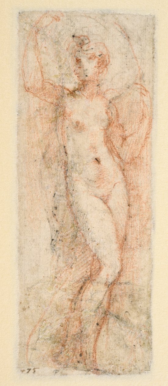 Női alak – tanulmány a Steccata számára (verso) alkotó: Parmigianino