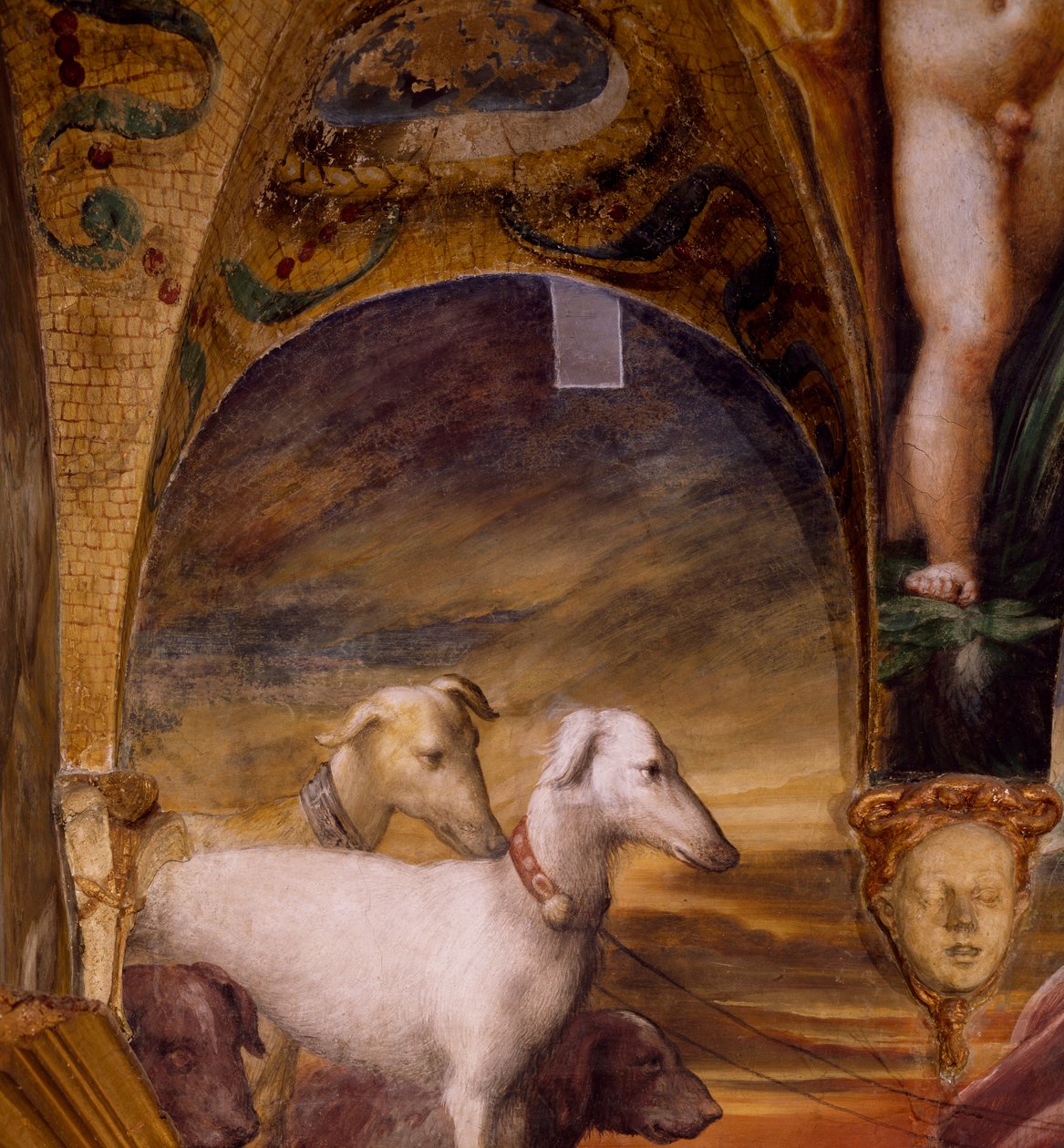 Kutyacsoport a Diana mítoszából és az Actaeonból alkotó: Parmigianino